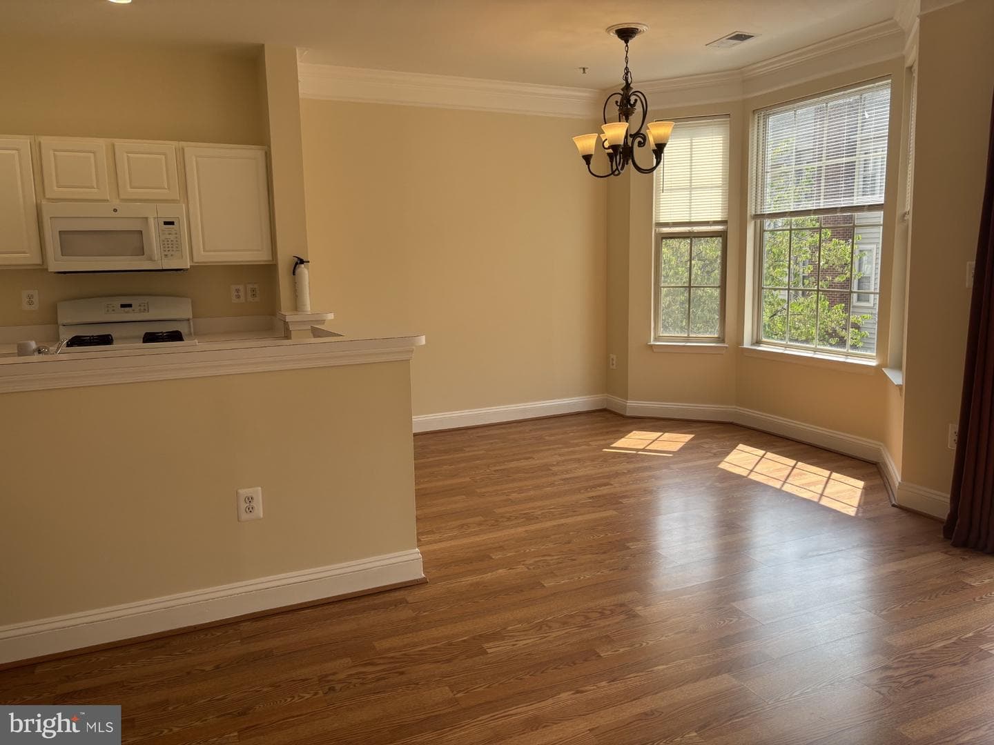 21156 Domain Terrace photo 16