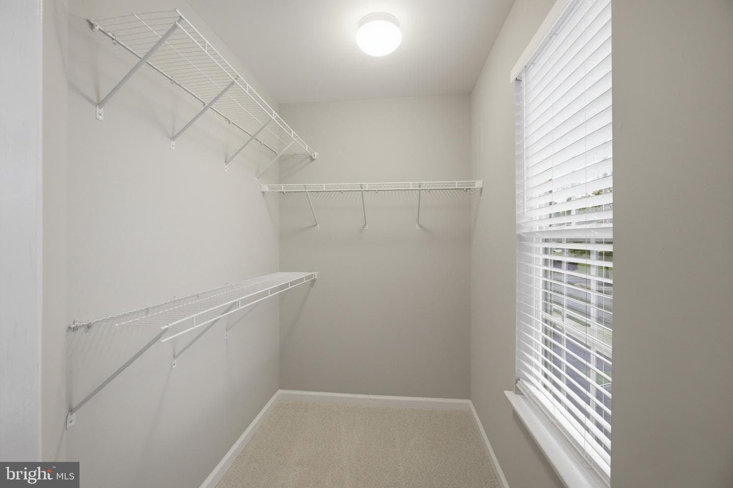 41736 Mcdivitt Terrace photo 47