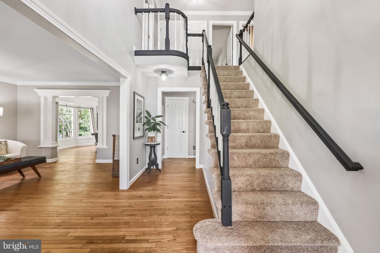 10181 Strawflower Lane photo 2
