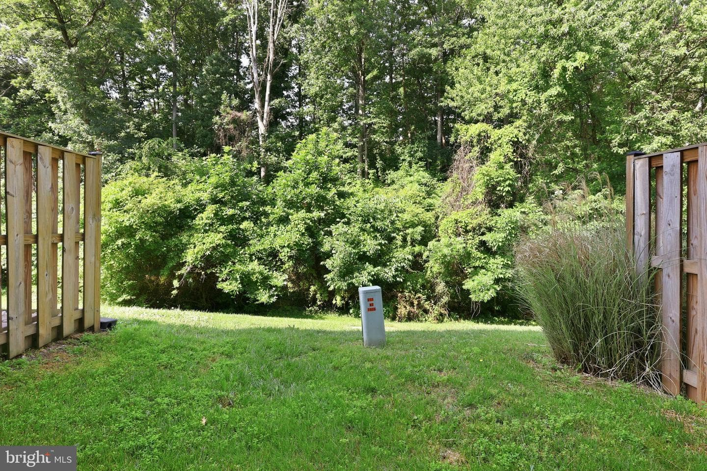 9787 Mock Orange Court photo 15