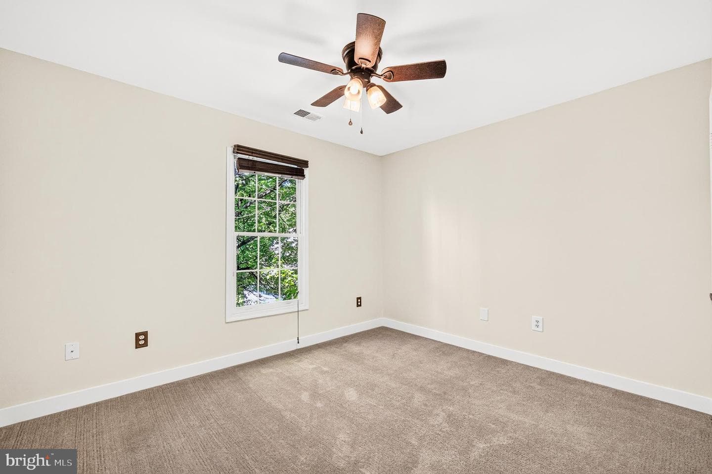 10202 Daylily Court photo 27