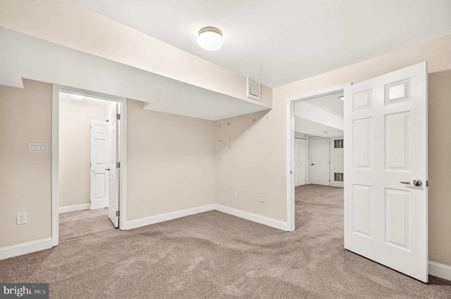 10202 Daylily Court photo 49