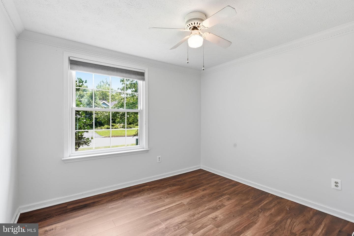 10221 Foxborough Court photo 29