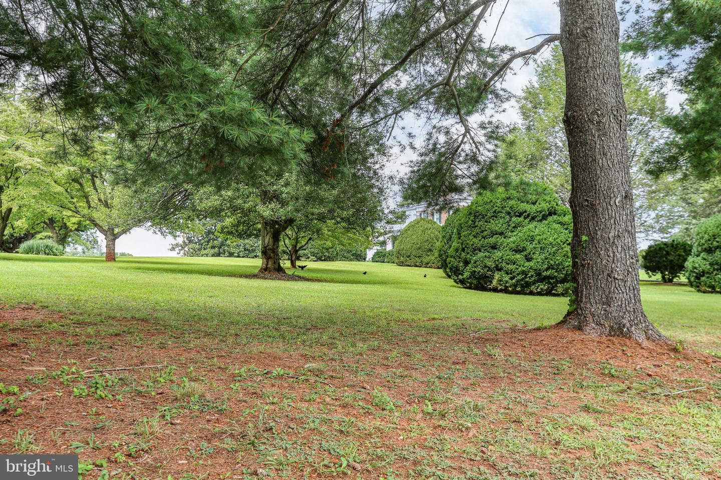 590 N Madison Road photo 72