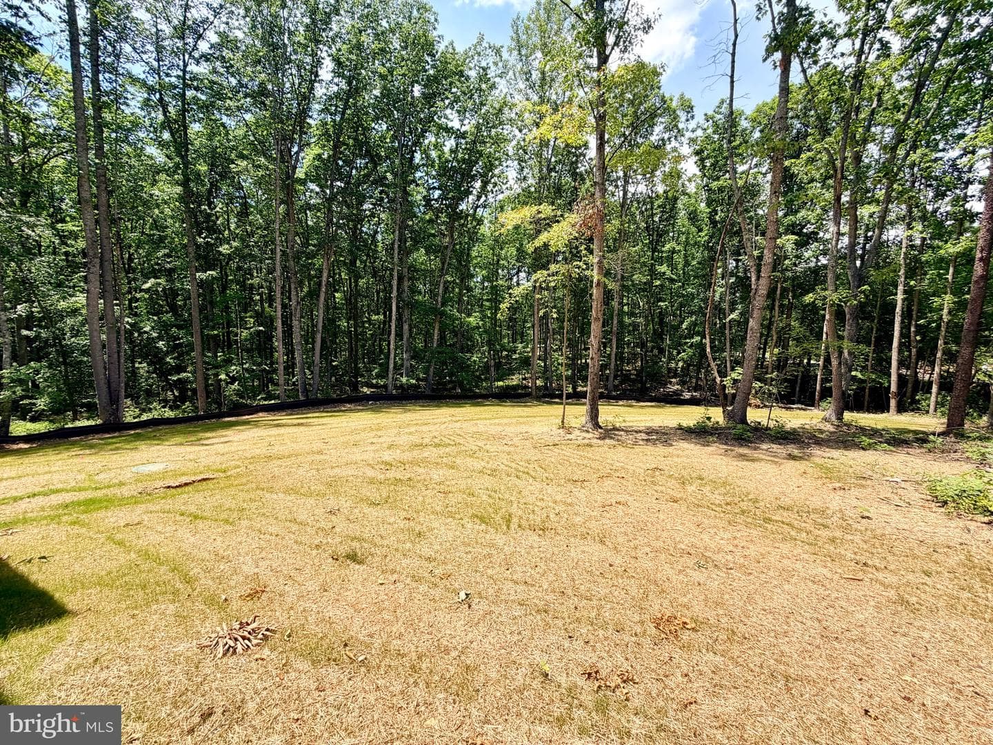 12215 Autumn Ridge Lane photo 33