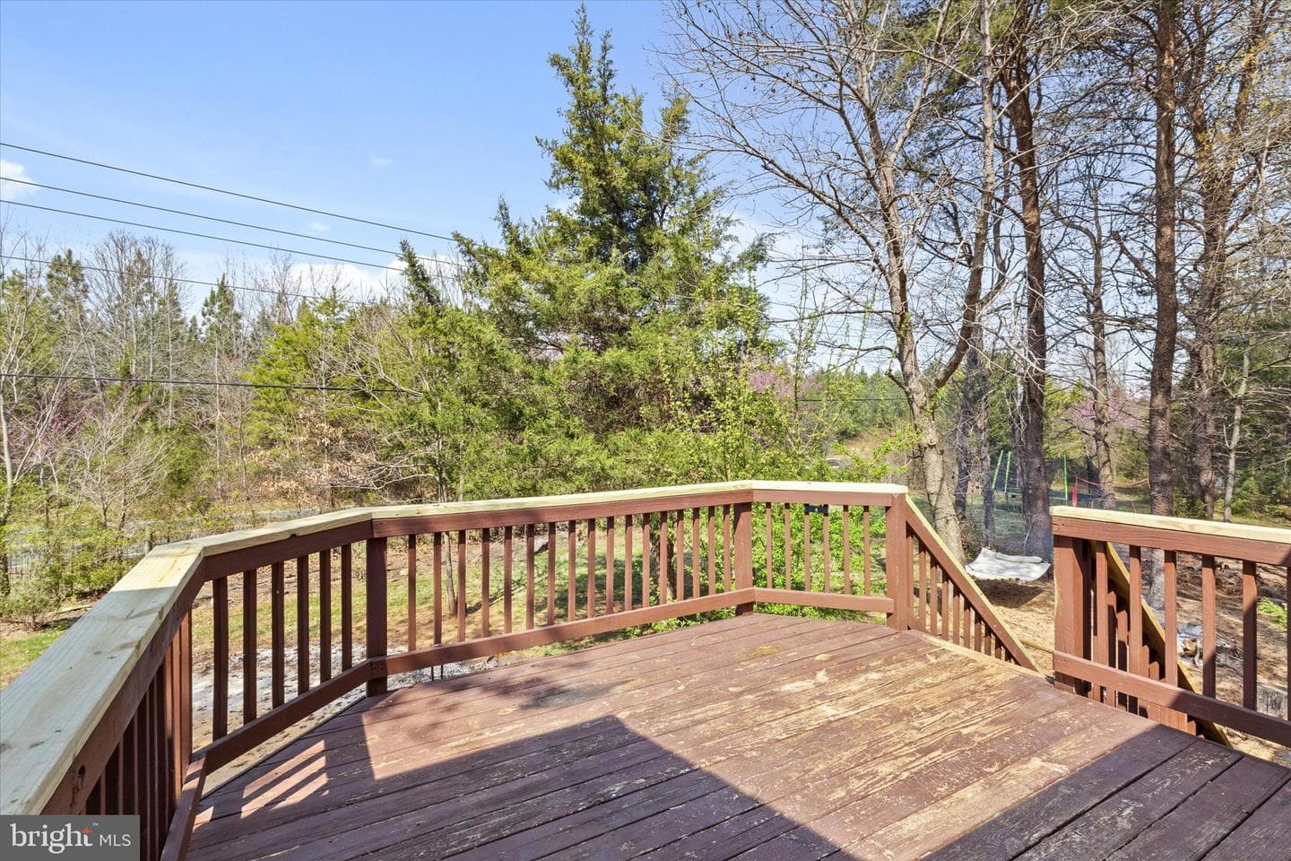 104 Carlyle Court photo 42
