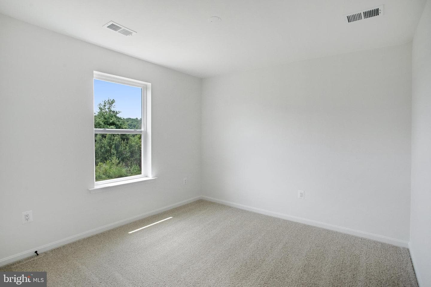 520 Aster Lane photo 22
