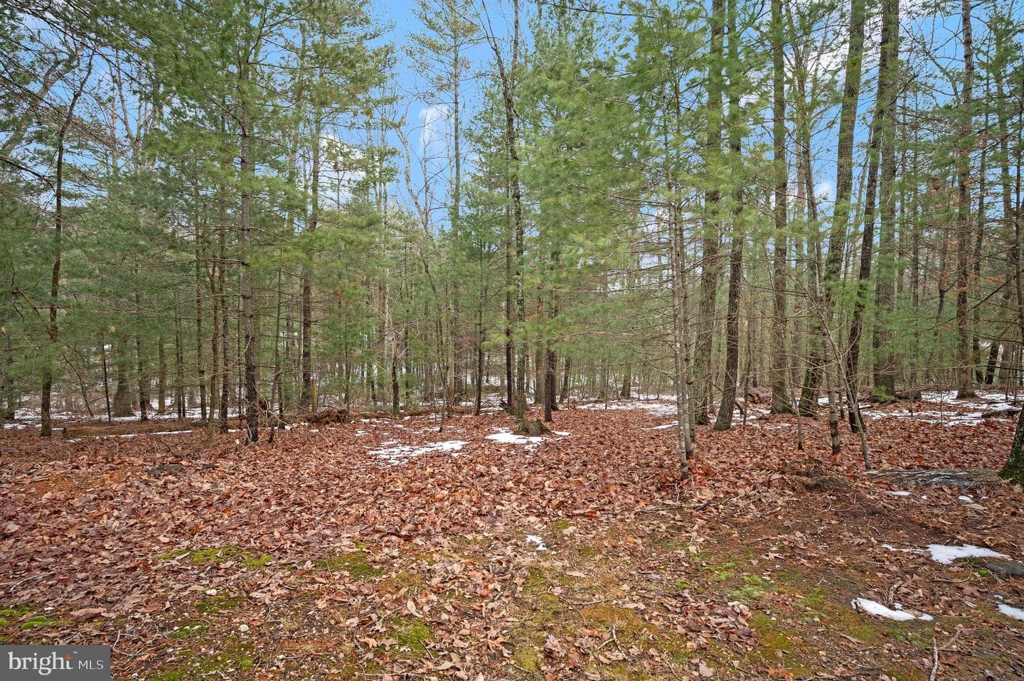 23145 Walkers Branch Road photo 41