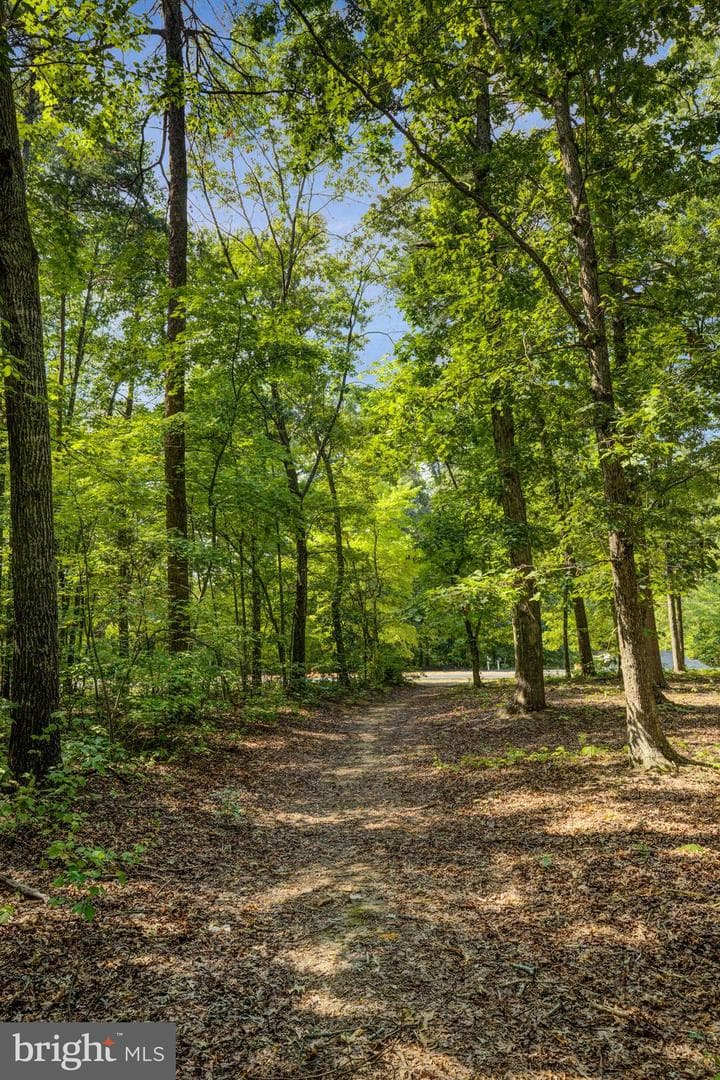 36139 Wilderness Shores Way photo 40