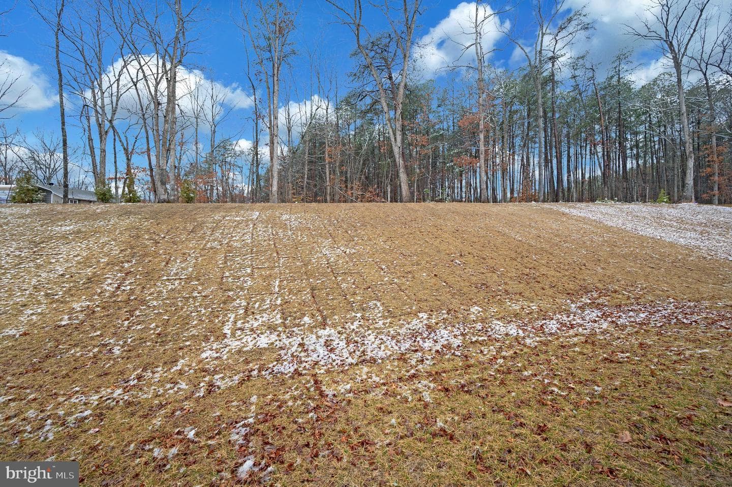 2892 White Tail Drive photo 39