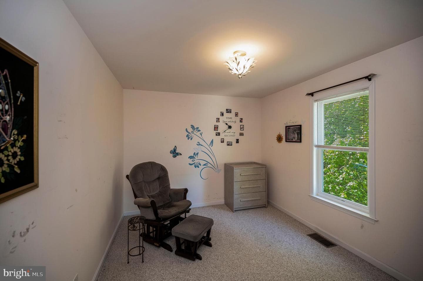 322 Birchside Circle photo 38