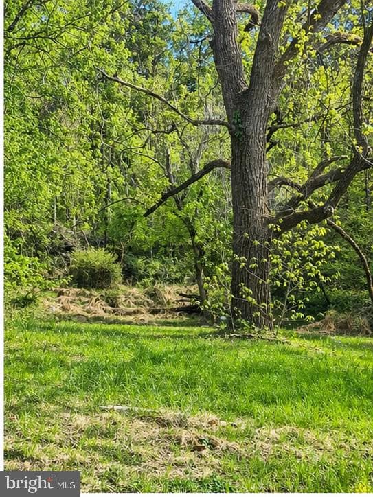 9422 Little Skyline Drive photo 3