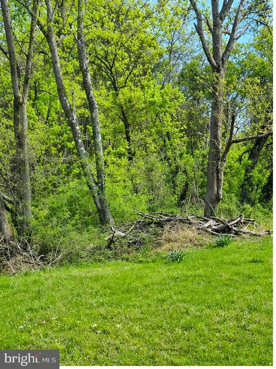 9422 Little Skyline Drive photo 4