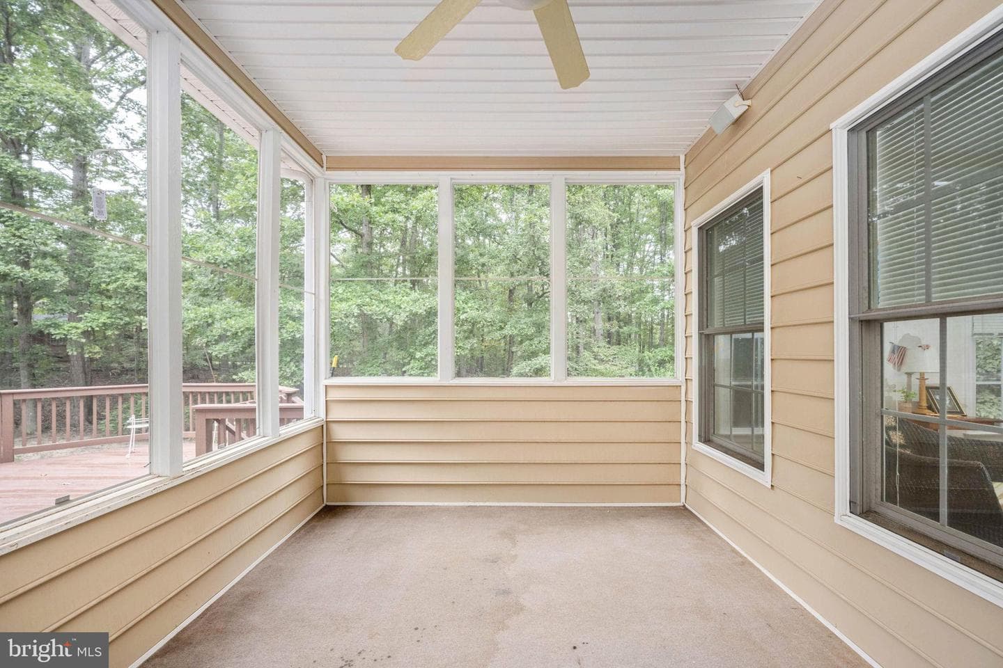 32236 Deep Meadow Lane photo 23