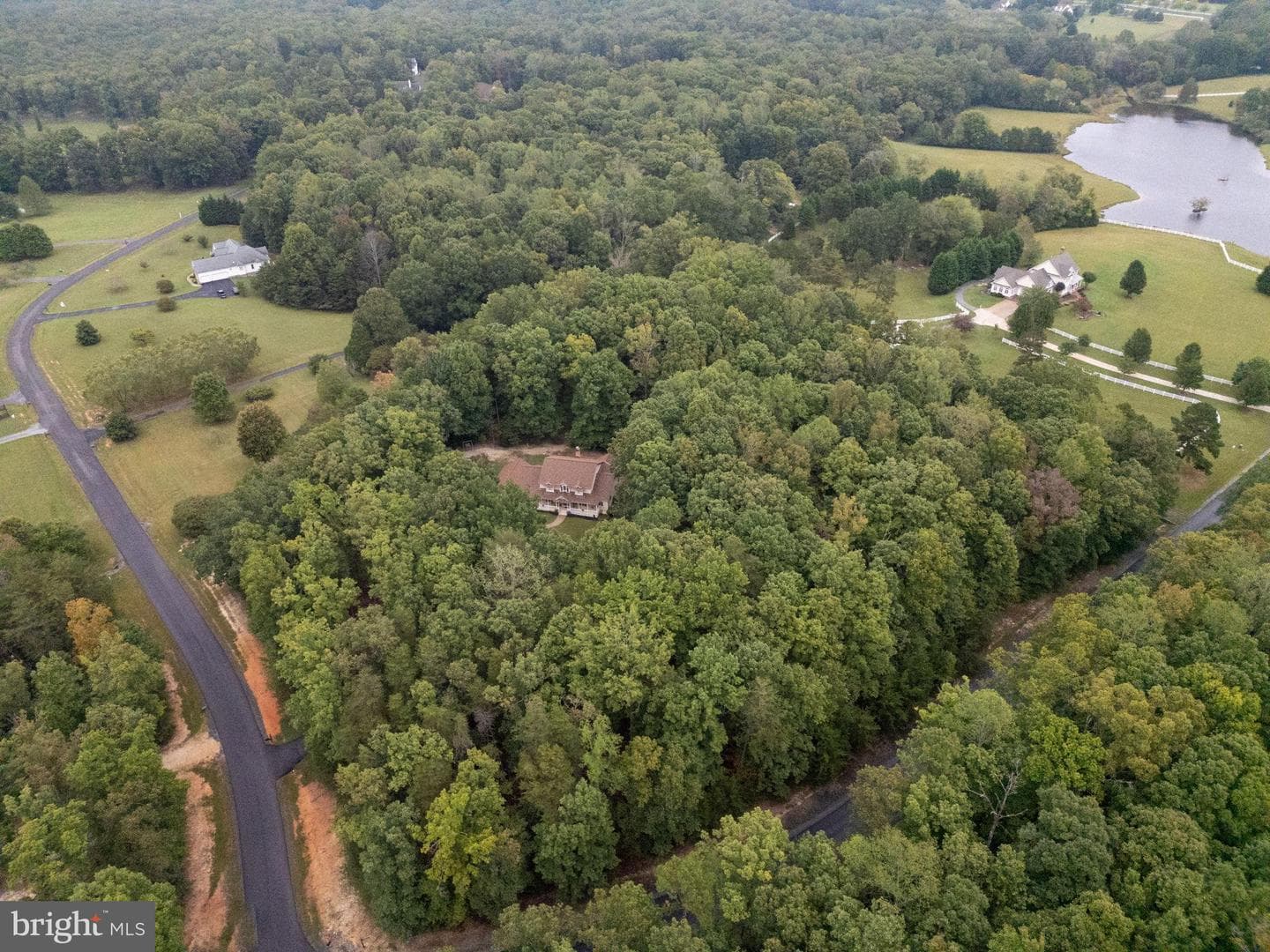 32236 Deep Meadow Lane photo 4