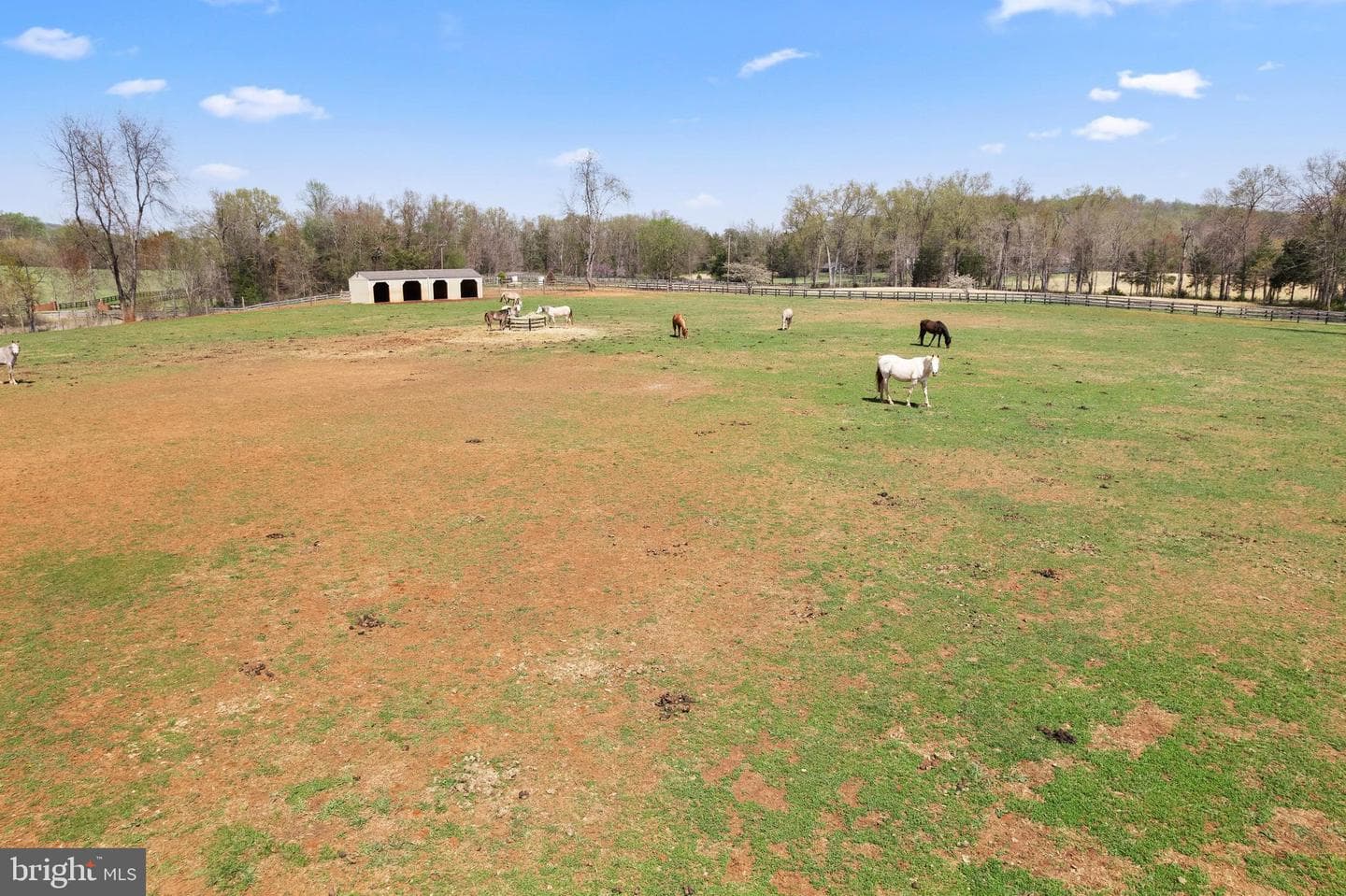 19050 Monteith Farm Road photo 47