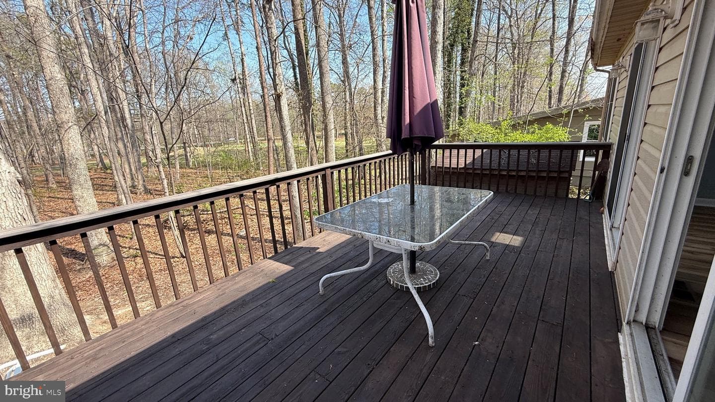 533 Mount Pleasant Drive photo 22