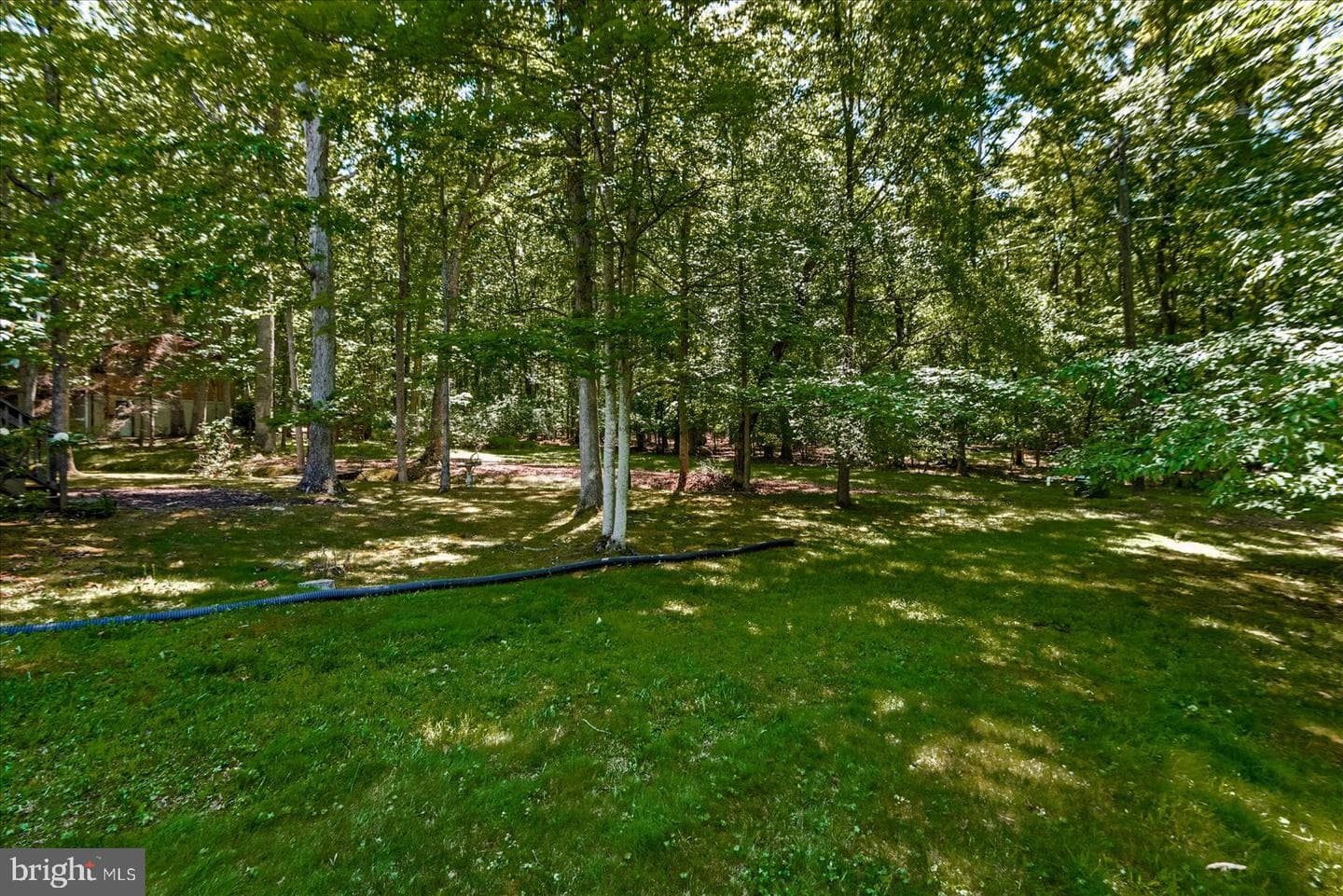 220 Creekside Drive photo 45