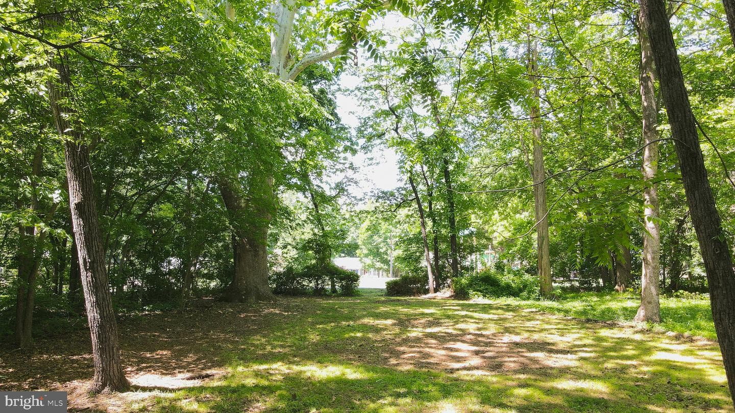 216 Spotswood Road photo 41