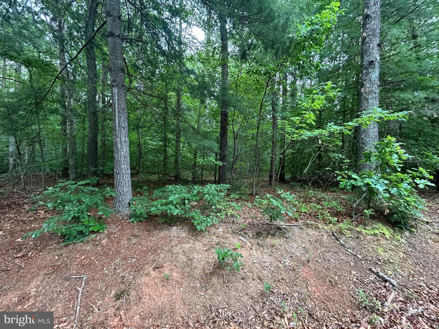 Lot 37 Harbor Drive photo 4