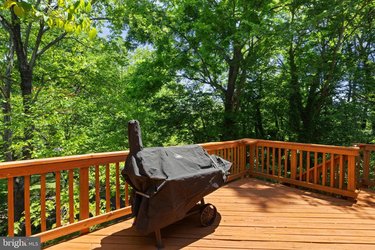 293 Caroline Street photo 35