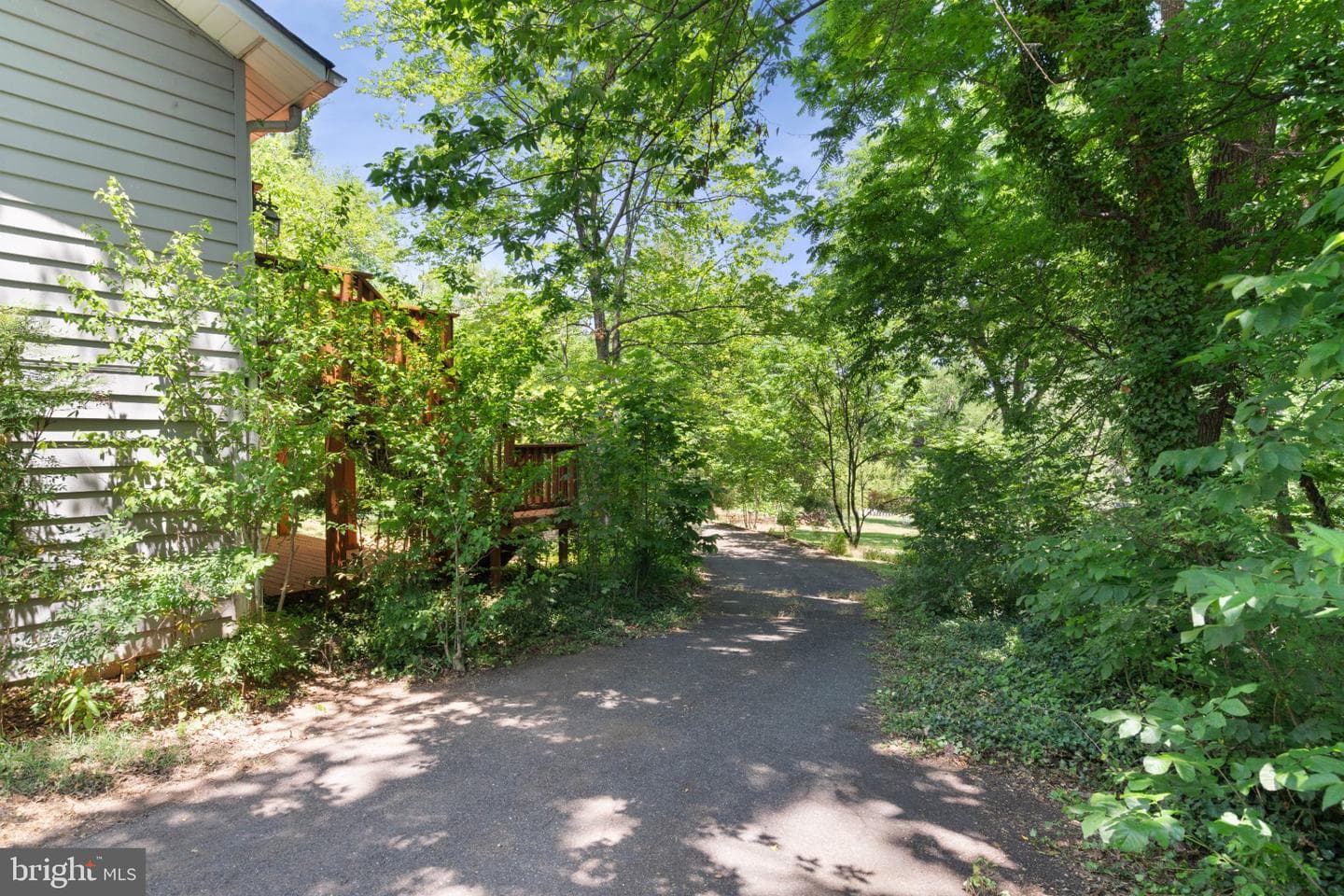 293 Caroline Street photo 44