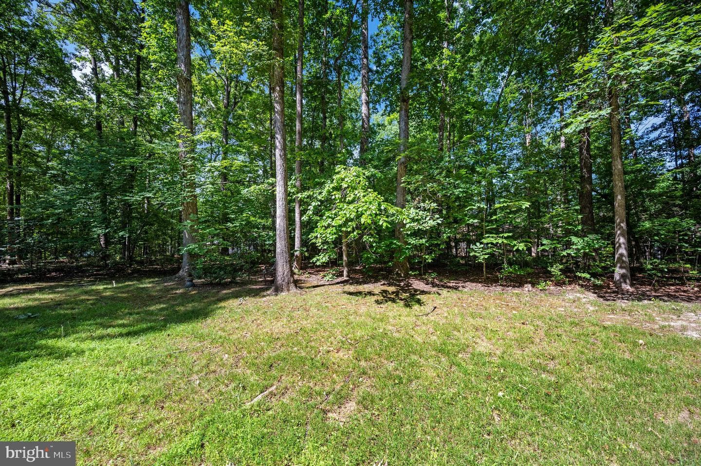 103 Tall Pines Avenue photo 36