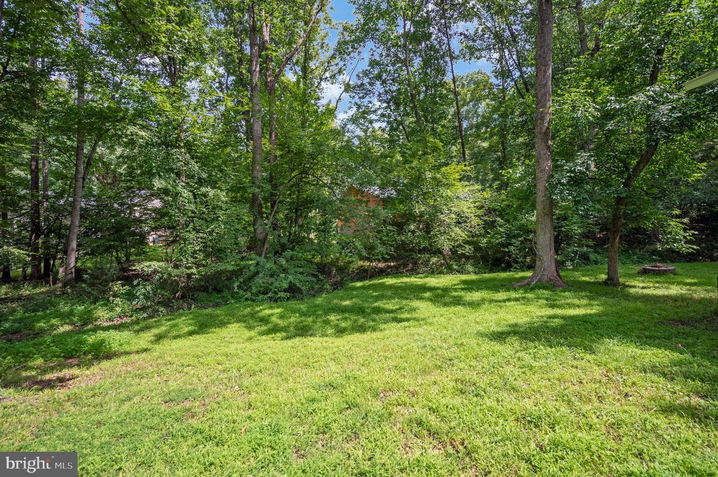 408 Birchside Circle photo 10