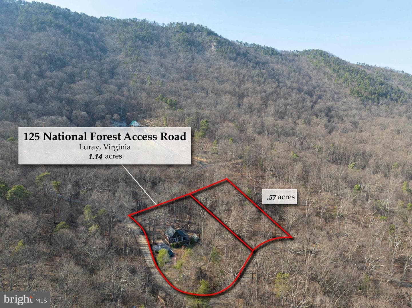 125 National Forest Access Road photo 19