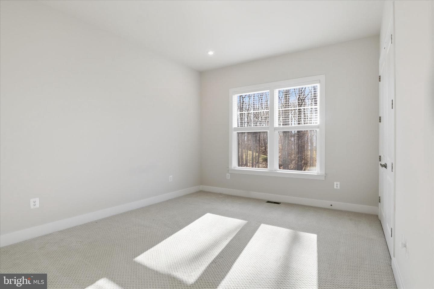8781 Beechnut Springs Way photo 29