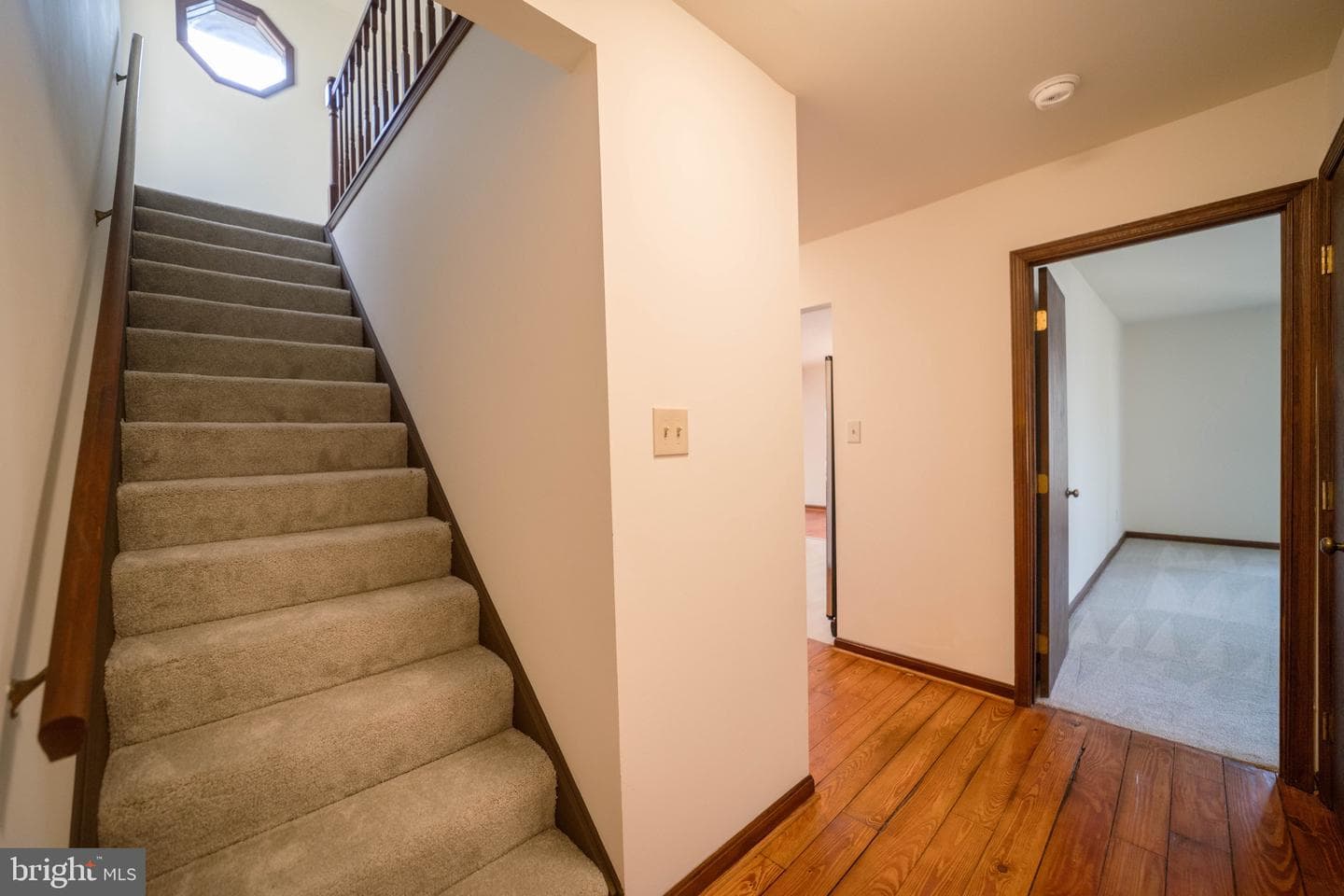 10754 Lake Forest Drive photo 55