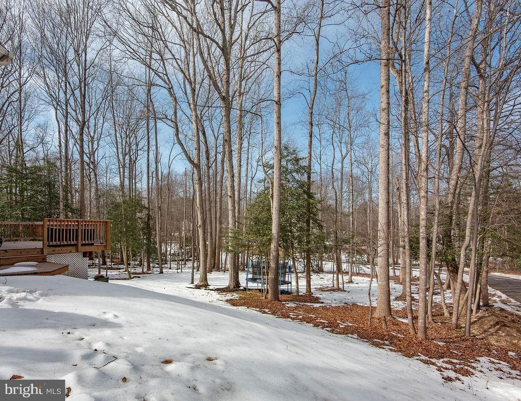 7216 Token Valley Road photo 2