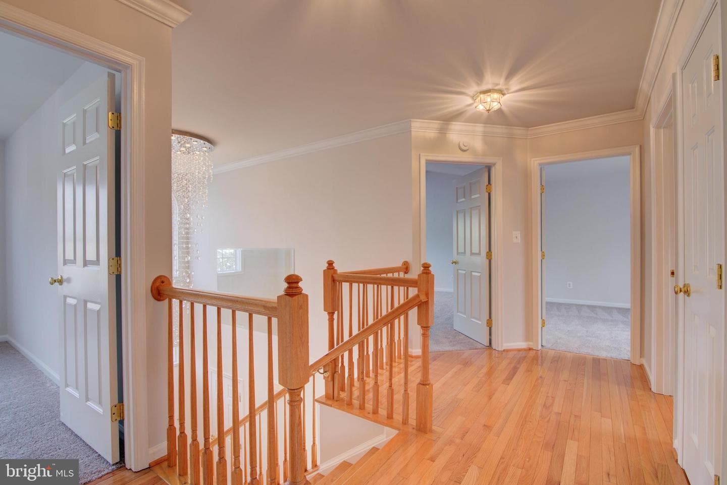 13124 Kinnicutt Drive photo 41
