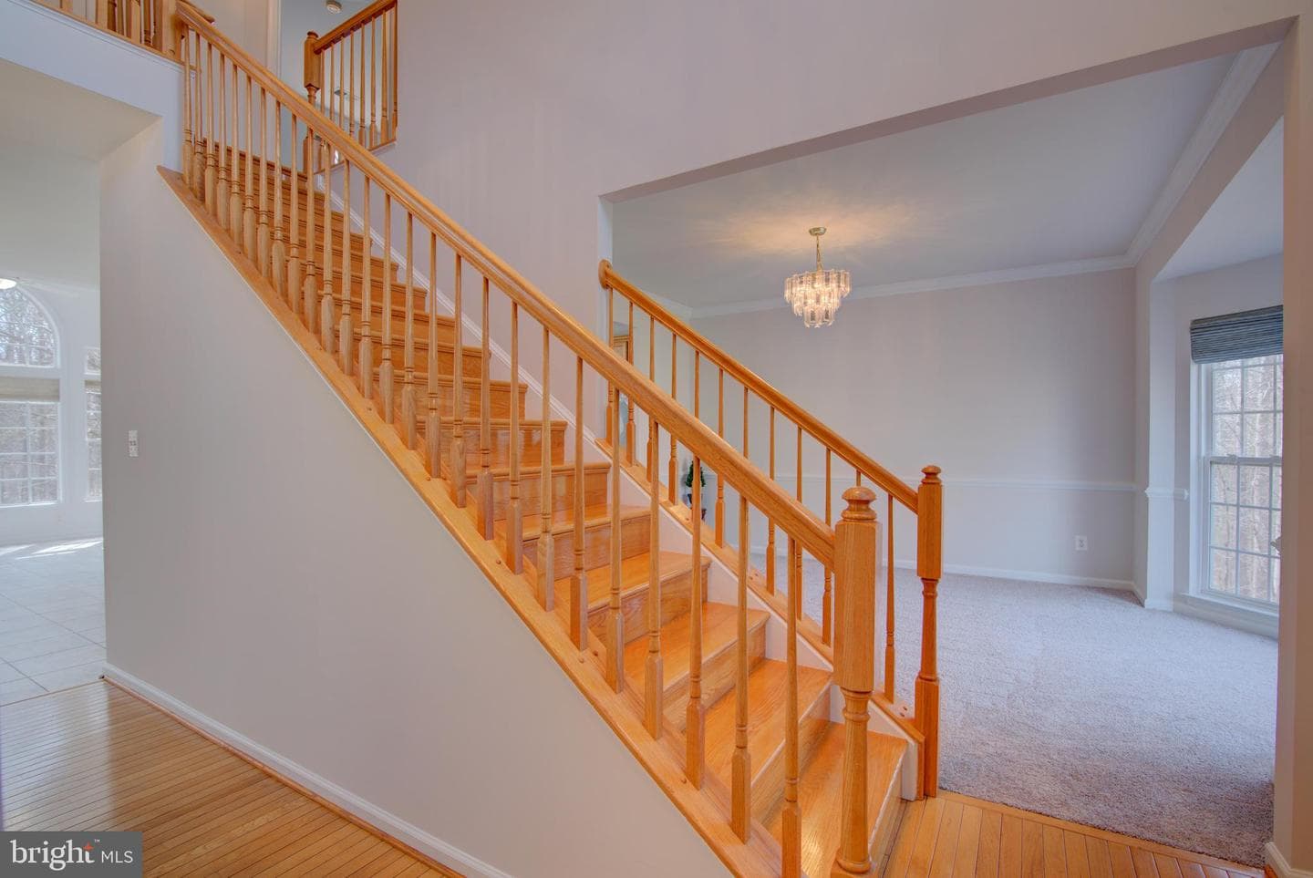 13124 Kinnicutt Drive photo 9