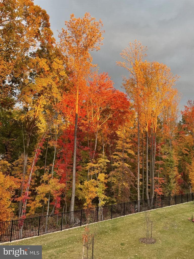 12900 Blue Sky Place photo 5