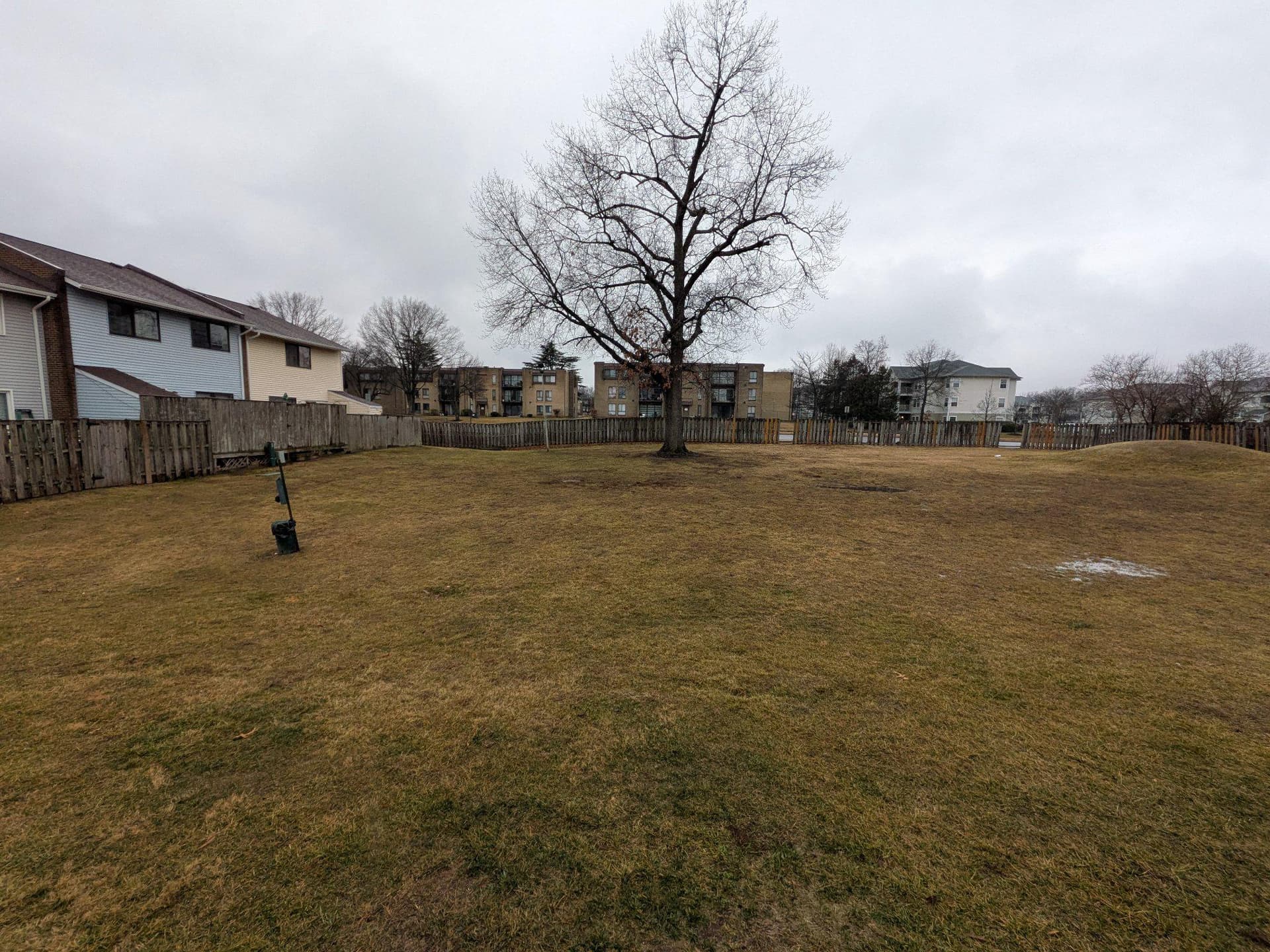 11024 Hiram Court photo 3