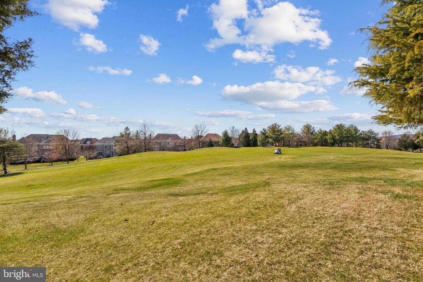 8268 Roxborough Loop photo 122