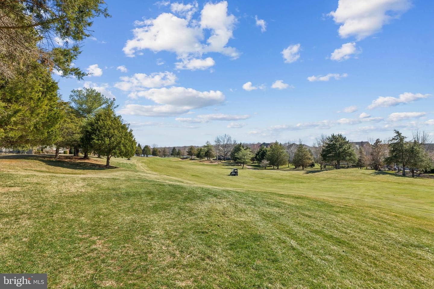 8268 Roxborough Loop photo 123