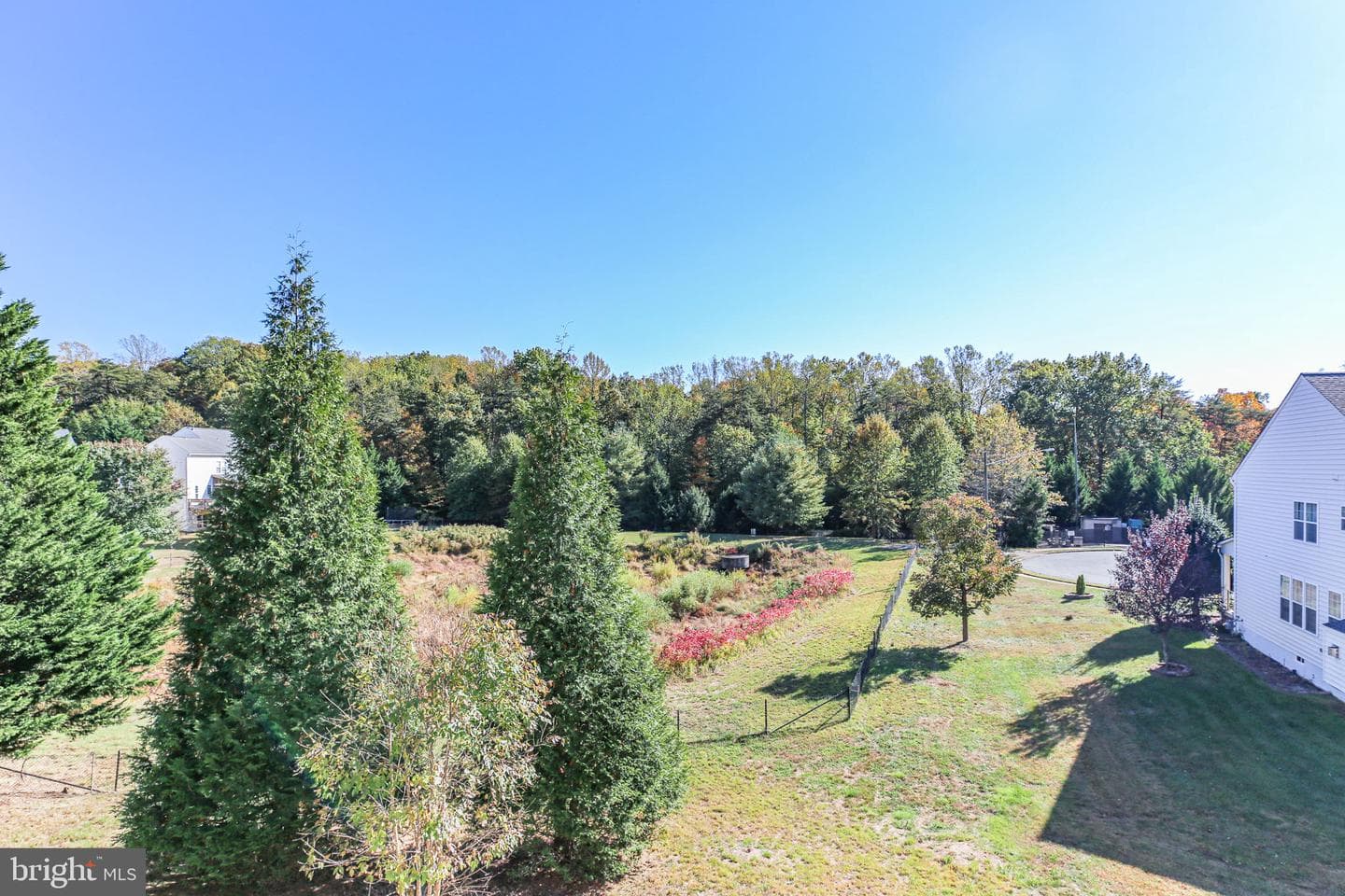 4149 Philena Street photo 3