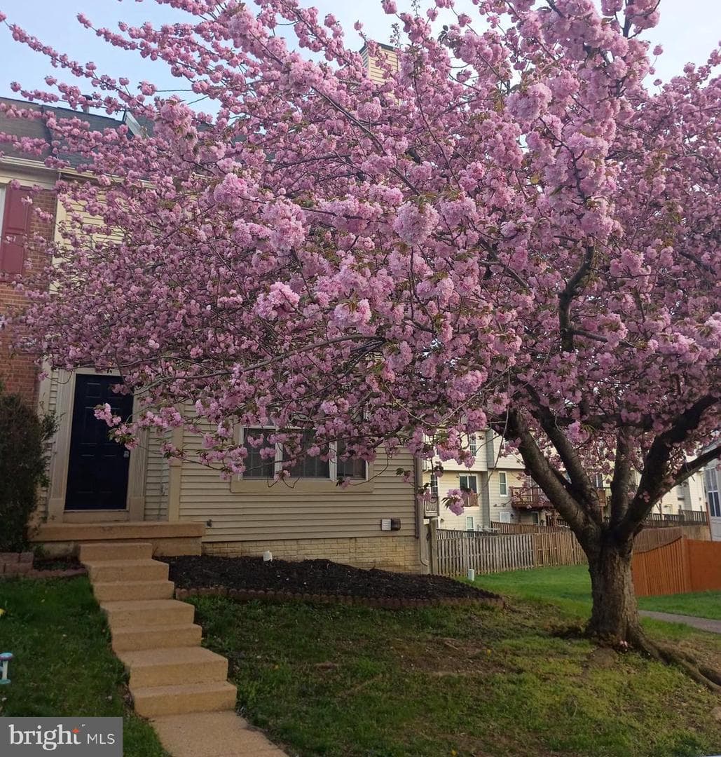 3429 Tuckahoe Court