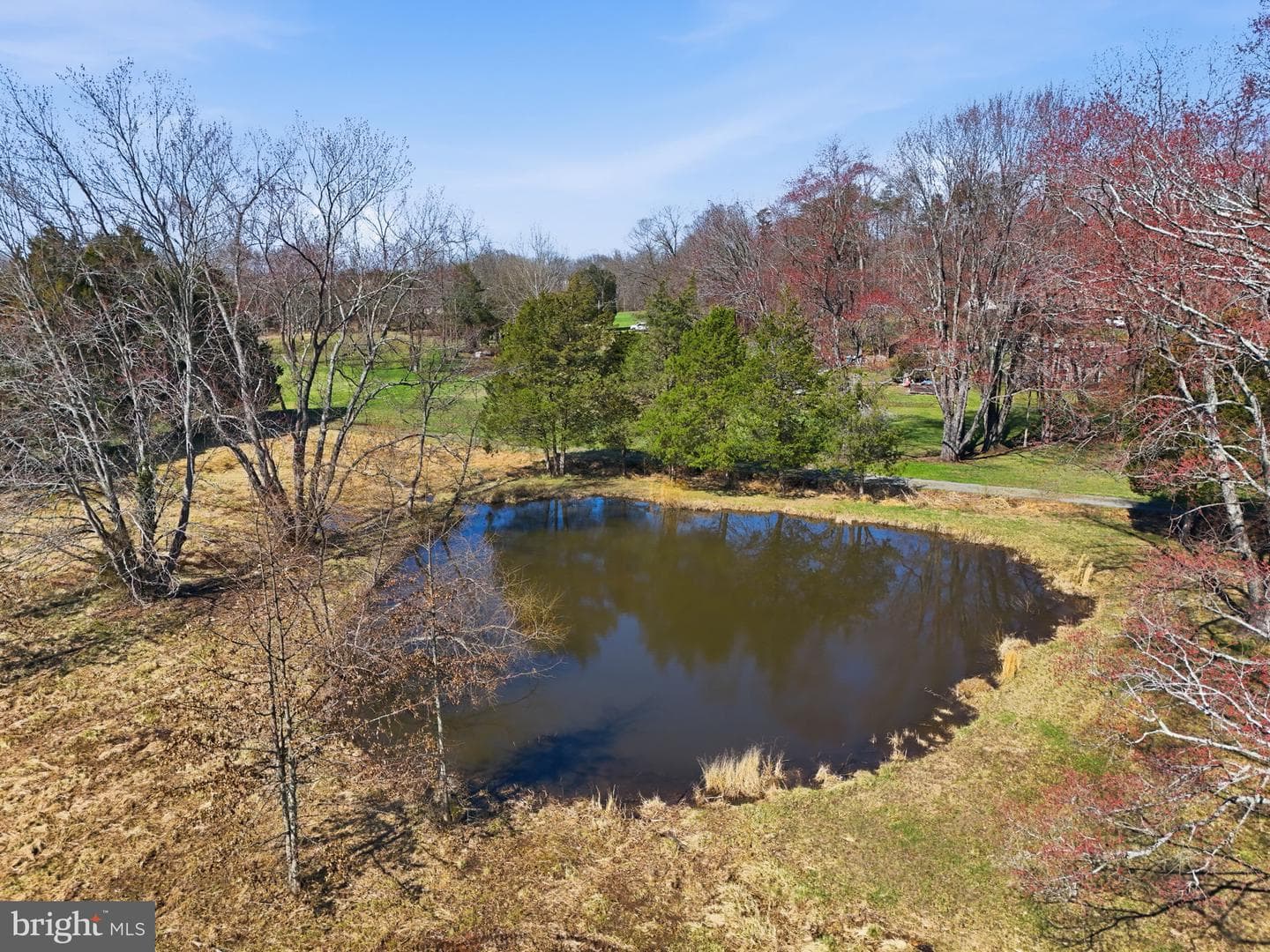 9613 Chevalle Drive photo 41