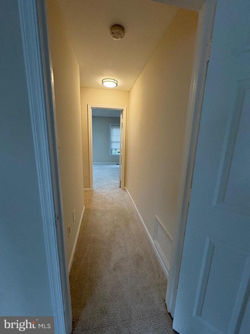 14471 Whisperwood Court photo 15