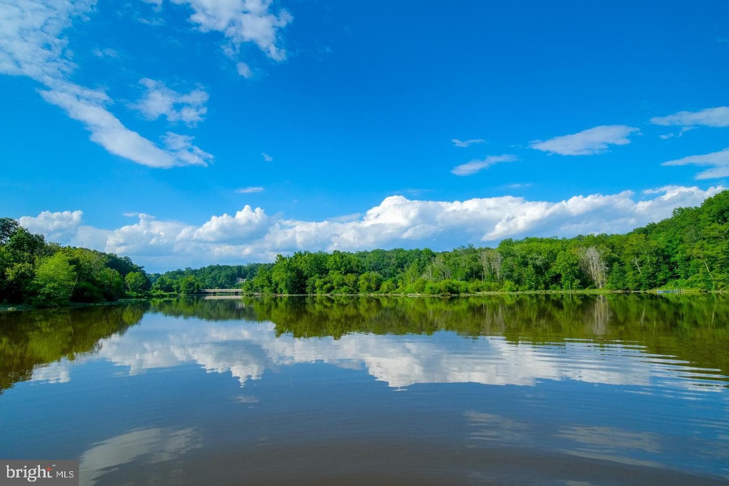 6175 River Forest Drive photo 49