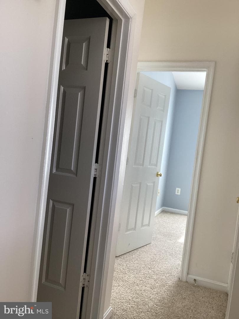 5339 Tortoise Place photo 28