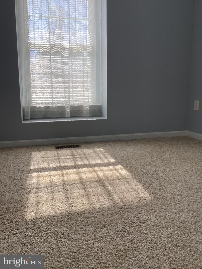 5339 Tortoise Place photo 38