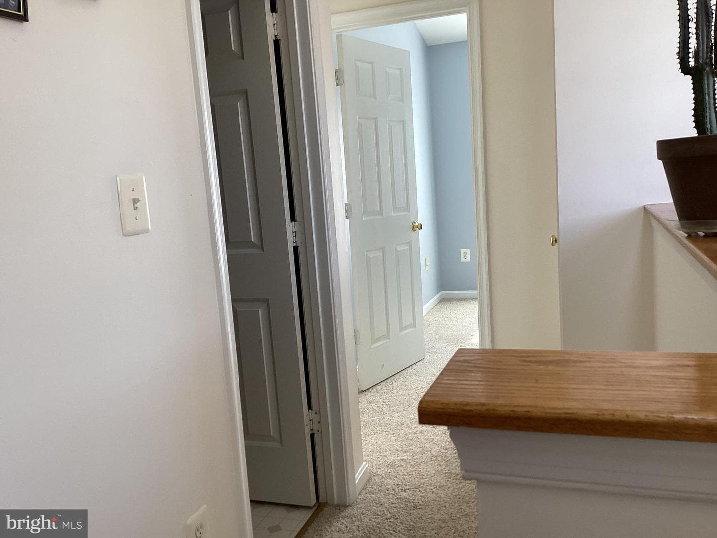 5339 Tortoise Place photo 41