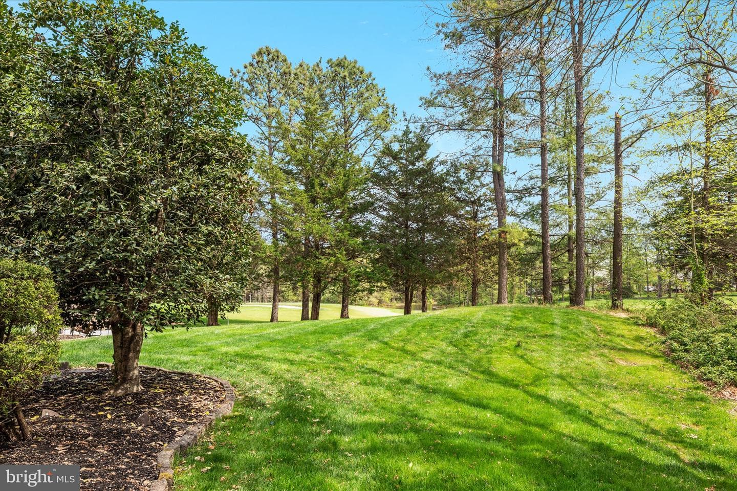 15077 Valhalla Court photo 60