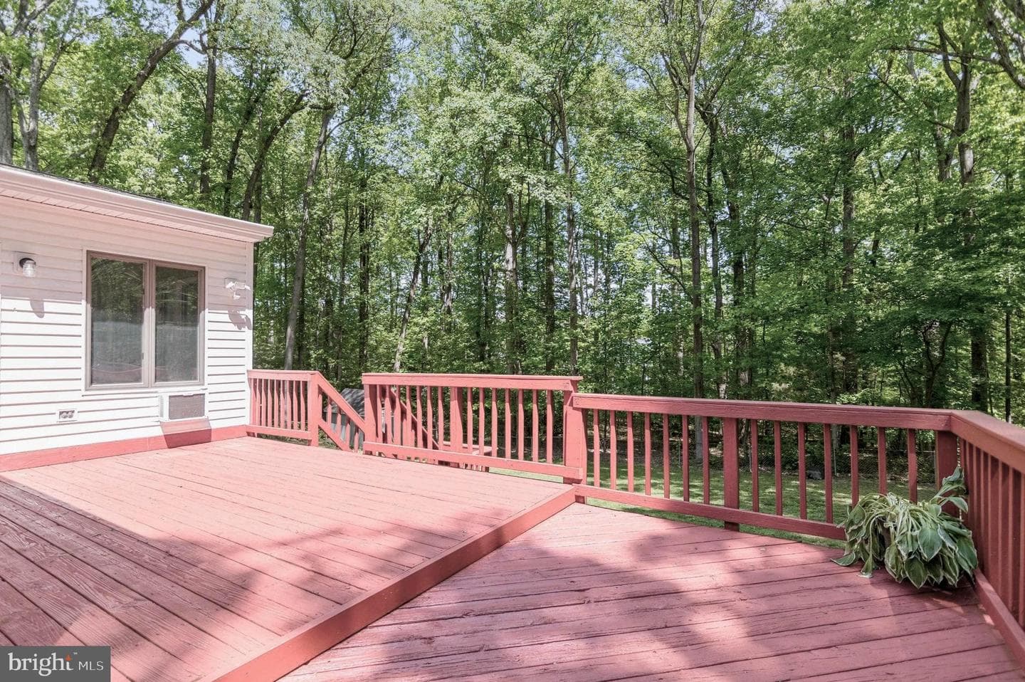 13593 Bethel Road photo 24