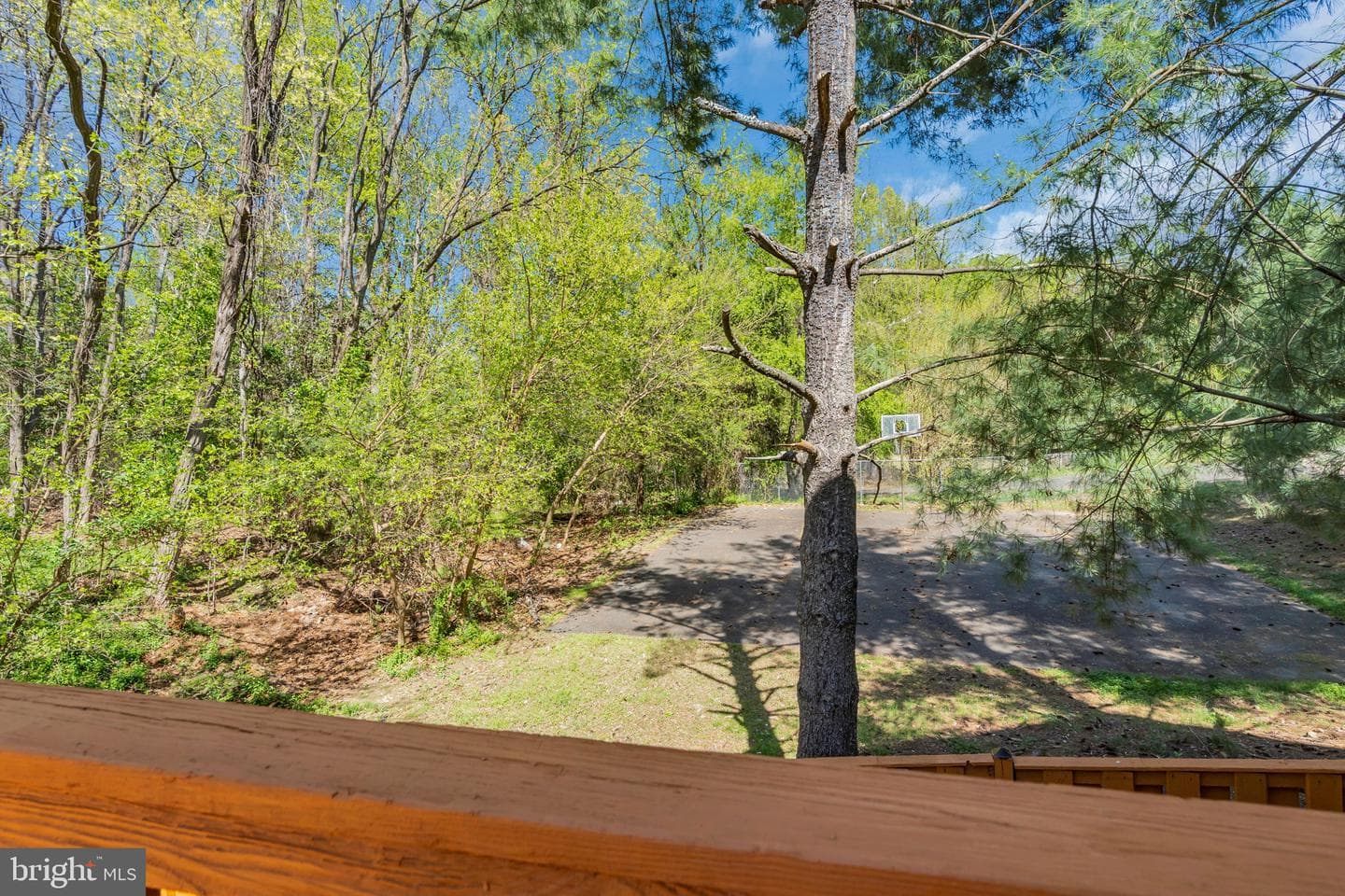 1700 Wigglesworth Way photo 14
