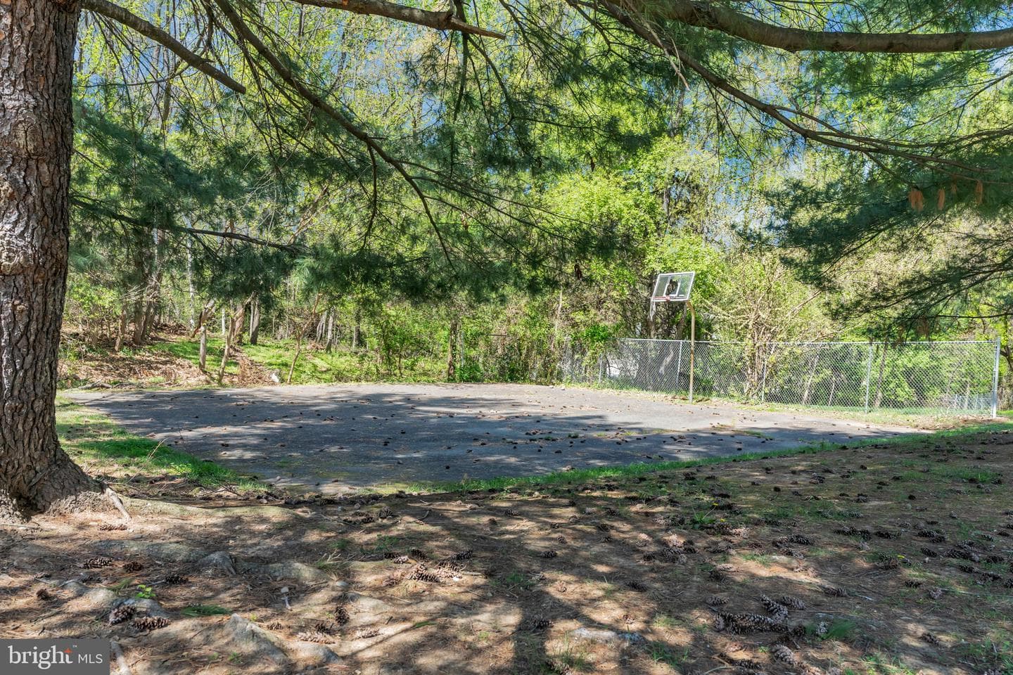 1700 Wigglesworth Way photo 39